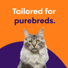 Carregar imagem no visualizador da galeria, Purebred Cat Full Breed Profile
