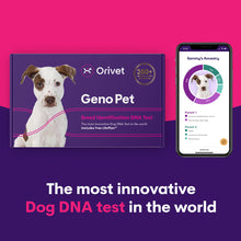 Carregar imagem no visualizador da galeria, Geno Pet Dog Breed Identification DNA test
