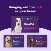 Carregar imagem no visualizador da galeria, Geno Pet Dog Breed Identification DNA test
