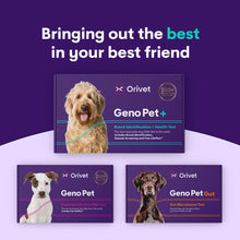 Carregar imagem no visualizador da galeria, Geno Pet +  (Breed + Health Kit)
