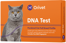 Carregar imagem no visualizador da galeria, Purebred Cat Full Breed Profile
